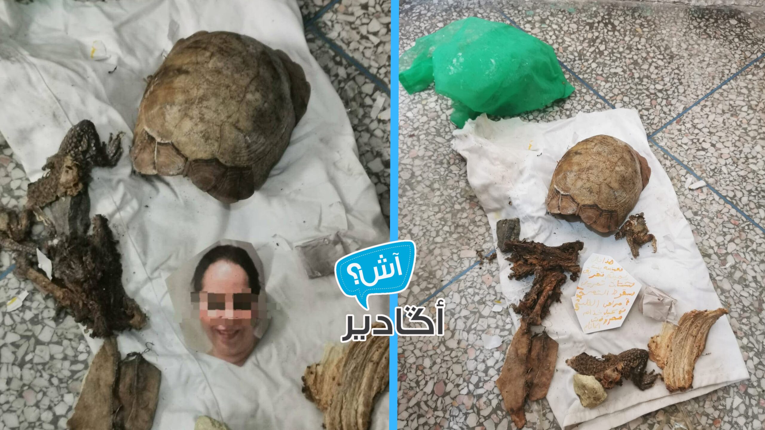 السحر الأسود بإنزكان كان يستهدف مهاجرة مغربية بإسبانيا